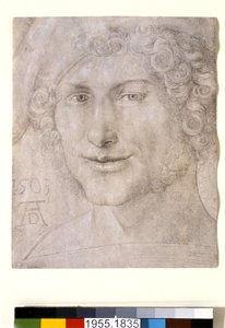 Cabeça de um jovem, 1503 de Albrecht Dürer