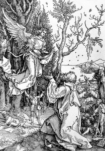 Joaquim e o Anjo da série &39;Vida da Virgem&39;, pub. 1511 (xilogravura) de Albrecht Dürer
