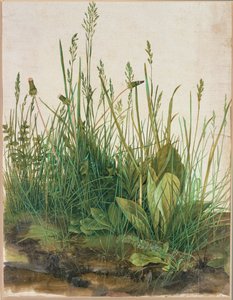 Grande tufo de turfa - Das grosse Rasenstueck de Albrecht Dürer or Duerer