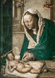 Madona com o Menino, painel central do Altar de Dresden, c.1496 (têmpera sobre tela) de Albrecht Dürer or Duerer