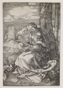 Madonna com a pera de Albrecht Dürer or Duerer