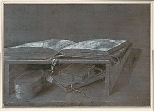 Livro aberto (desenho a pincel sobre papel castanho) de Albrecht Dürer or Duerer