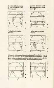 Proporções da cabeça humana de "Hierinn sind begriffen vier bücher von menschlicher Proporção" (Quatro livros de proporção humana) de Albrecht Dürer