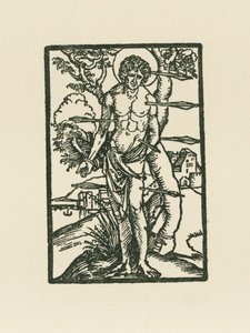 São Sebastião de Albrecht Dürer or Duerer