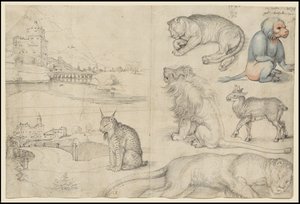 Esboços de animais e paisagens, 1521 de Albrecht Dürer