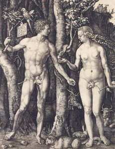 A Queda do Homem por Albrecht Durer de Albrecht Dürer