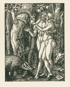 A Queda do Homem, c.1510 (xilogravura) de Albrecht Dürer or Duerer