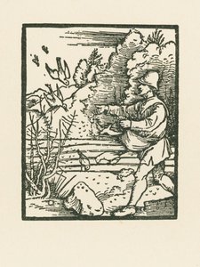 A parábola do semeador de Albrecht Dürer or Duerer