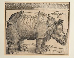 O Rinoceronte de Albrecht Dürer or Duerer
