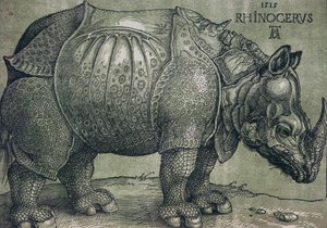 O Rinoceronte, 1515 de Albrecht Dürer