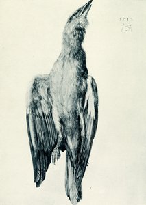 O rolo azul morto de Albrecht Dürer