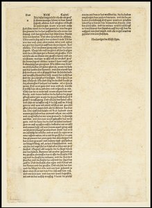 Verso do Apocalipse, São Miguel lutando contra o dragão, 1497 de Albrecht Dürer