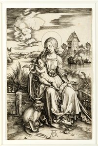Virgem e Criança com Macaco de Albrecht Dürer