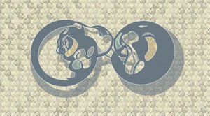 Resumo: Infinito Felino de Alejandra Winkhaus