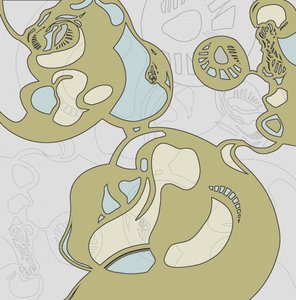 Formas Orgânicas Fluidas de Alejandra Winkhaus