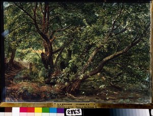 "The Trees on the River" Pintura de Alexander Ivanov (1806-1858) 1837 Museu Estatal Russo, São Petersburgo de Aleksandr Andreevich Ivanov