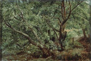 Árvores por um riacho de Aleksandr Andreevich Ivanov