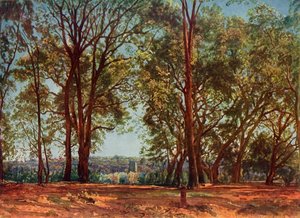 No Parque Aricci, década de 1830, 1965.