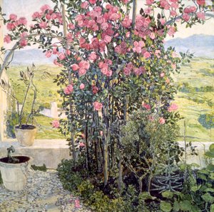 O vale na Úmbria, década de 1910. de Aleksandr Jakovlevic Golovin