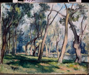 Un bosquet (A grove) - Oeuvre de Alexander Vasilyevich Shevchenko (Alexandre Chevtchenko) (1883-1948), huile sur carton