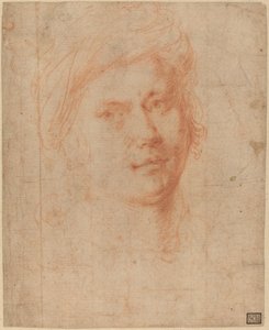Chefe de uma Juventude de Alessandro Allori