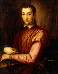 Retrato de Francesco I d "Medici de Alessandro Allori
