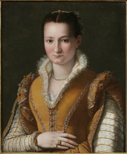 Retrato de uma jovem mulher de Alessandro Allori