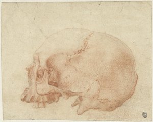 Estudo de um crânio de Alessandro Allori