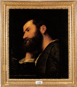 Retrato do poeta Pietro Aretino, comprimento do busto, com a cabeça apoiada na mão direita por uma saliência com uma planta