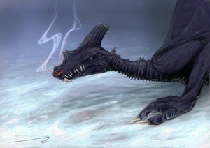Criatura lendária: Um Dragão no Desenho da Neve por Alessandro Lonati de Alessandro Lonati