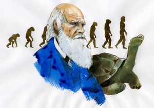 Retrato de Charles Darwin - Retrato do naturalista inglês Charles Darwin (1809-1882) Ilustração