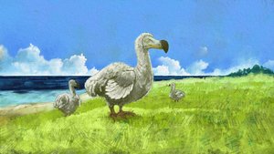 Representação da ave de dodô extinta (ilustração) de Alessandro Lonati