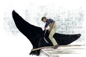 Barco baleeiro cortando a cauda de uma baleia de Alessandro Lonati
