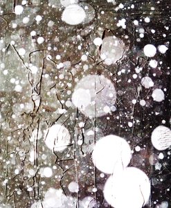 Snow,2019,(mixed media) de Alex Caminker