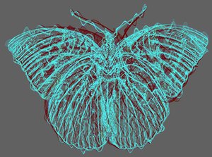 borboleta 8,2020, (mídia mista) de Alex Caminker