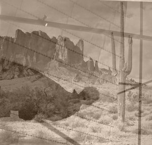deserto,2019,(mídia mista,colagem;objetos encontrados) de Alex Caminker