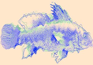 peixe IV, 2020, (mídia mista) de Alex Caminker