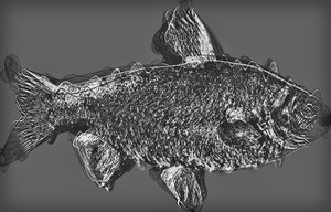 peixe em cinza, 2020, (mídia mista) de Alex Caminker