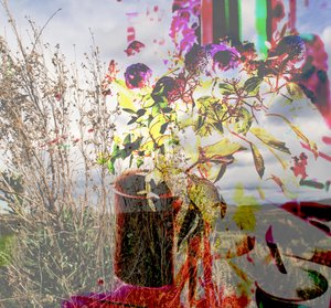natureza morta,2019,(colagem) de Alex Caminker
