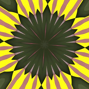 sunflower,2019,(digital) de Alex Caminker