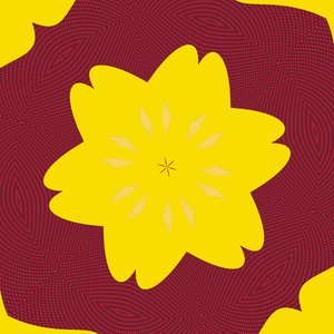simetria #50,2019,(mixed media) de Alex Caminker