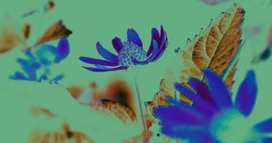 uv vsion,2019,(colagem) de Alex Caminker
