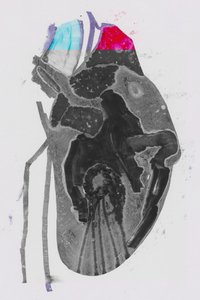 Média de Alexander Adiels