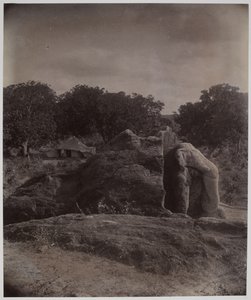 Elefante esculpido no topo da rocha com inscrições Asoka, Dhauli, Distrito de Puri de Alexander Caddy