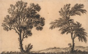Estudo de Dois Salgueiros de Alexander Cozens