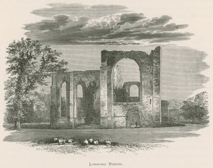 Furness Abbey, olhando para o norte de Alexander Francis Lydon