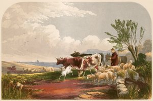 Ilustração para a vila deserta de Goldsmith