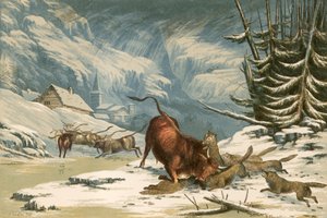 Ilustração para os lobos de Thomson no inverno de Alexander Francis Lydon