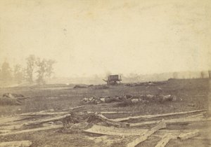 Vista no campo de batalha de Antietam, setembro de 1862, 1862. de Alexander Gardner