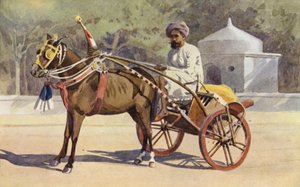 A Benares Ekka de Alexander Henry Hallam Murray